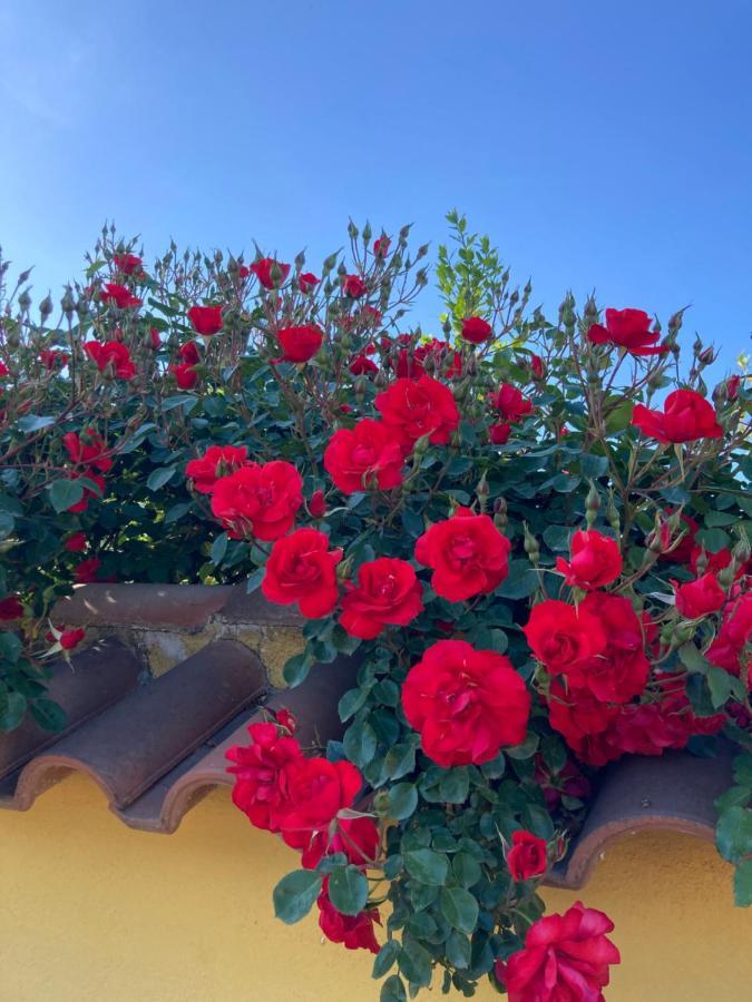 La Rosa Del Lago บรักชาโน ภายนอก รูปภาพ