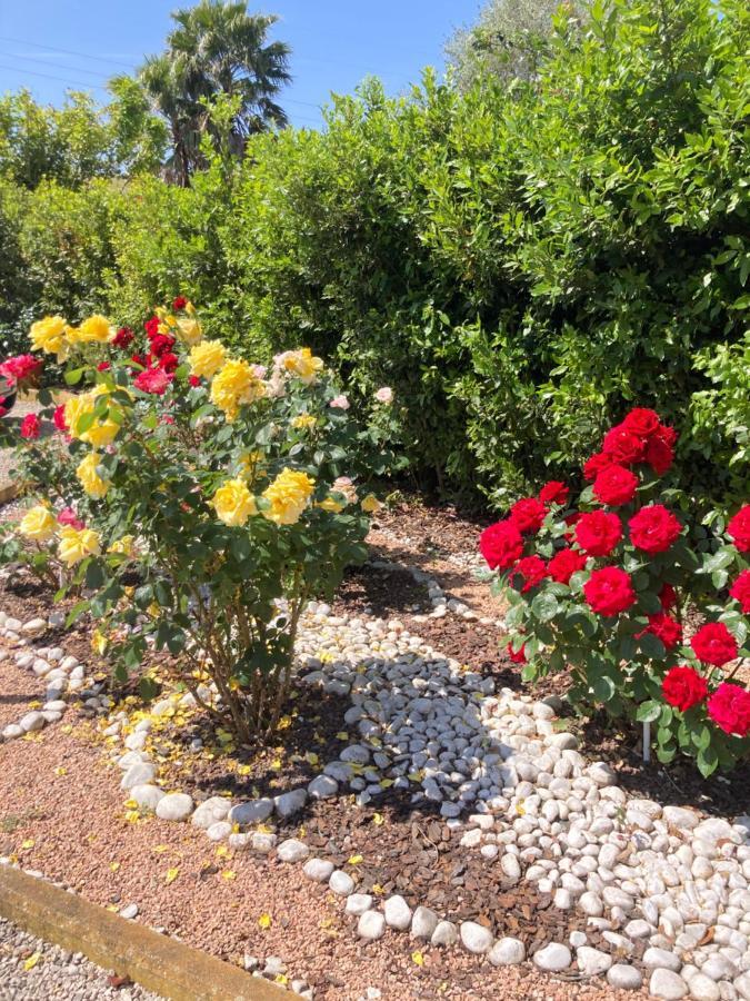 La Rosa Del Lago บรักชาโน ภายนอก รูปภาพ
