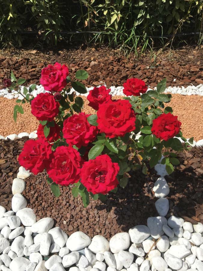 La Rosa Del Lago บรักชาโน ภายนอก รูปภาพ