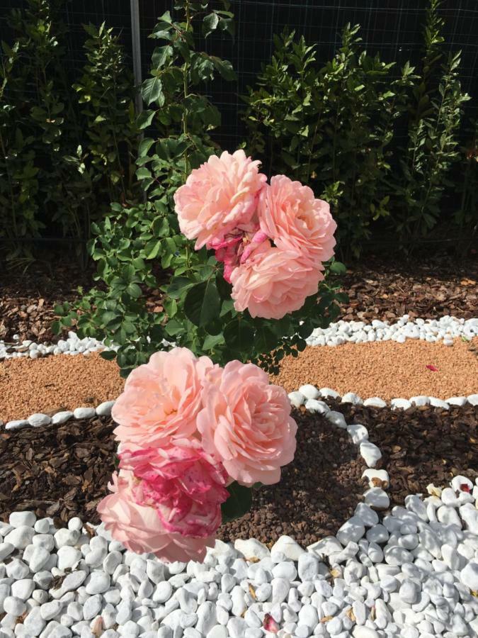 La Rosa Del Lago บรักชาโน ภายนอก รูปภาพ